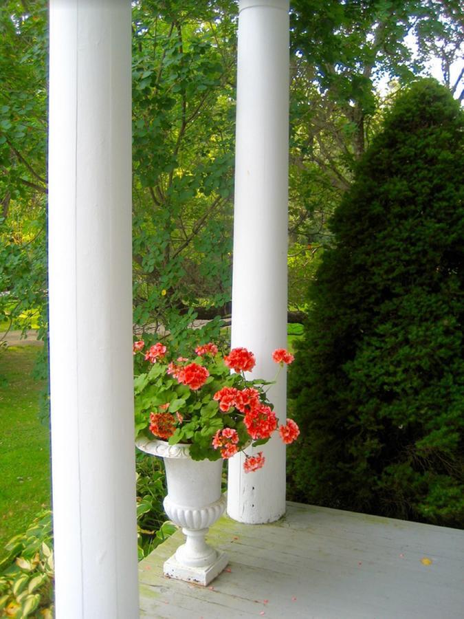Millbrook Country House Eksteriør billede